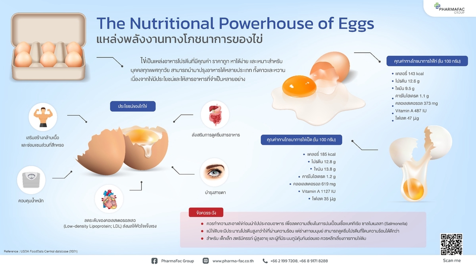 Infographics - INFOGRAPHICS | งานออกแบบอินโฟรกราฟิก - 4