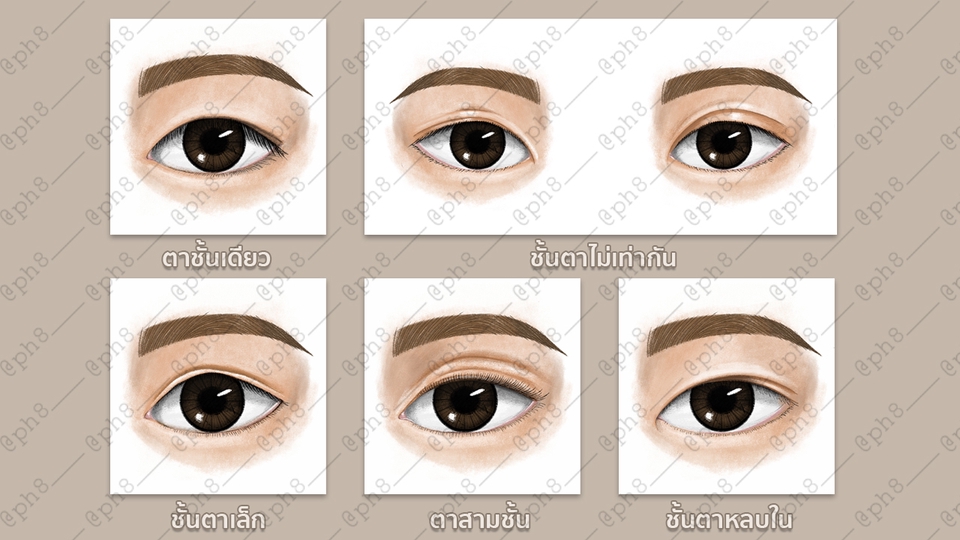 วาดภาพประกอบ - รับวาดภาพประกอบคอนเทนต์ / สื่อการสอน / หนังสือ / ปกเพลง / MV - 17