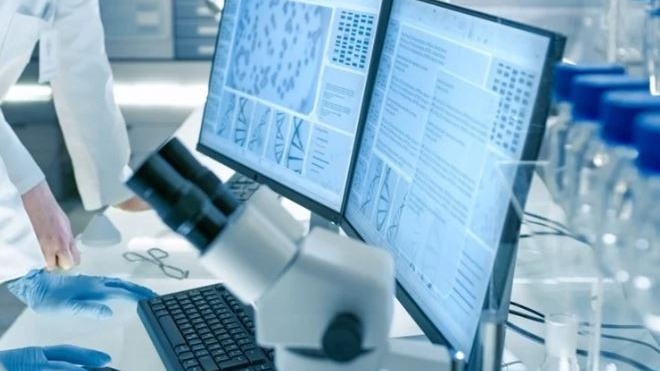 Jasa proofreading dan editing skripsi, tesis, jurnal, dan naskah bahasa Indonesia.
