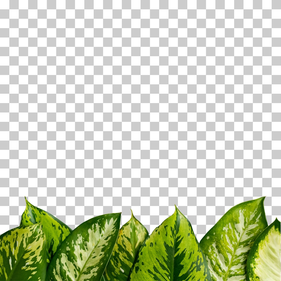 Jasa edit foto online, edit background foto, ganti background foto, edit foto produk, edit foto wedding.