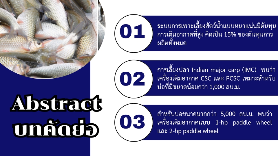 ออกแบบCanvaแผ่นพับเลี้ยงปลาสวยงาม ภาพประกอบขั้นตอนการเลี้ยงปลา