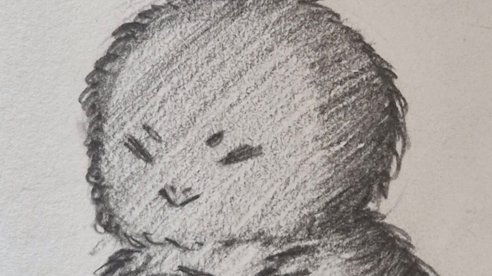 Gambar ilustrasi sketsa kartun lucu hewan kucing