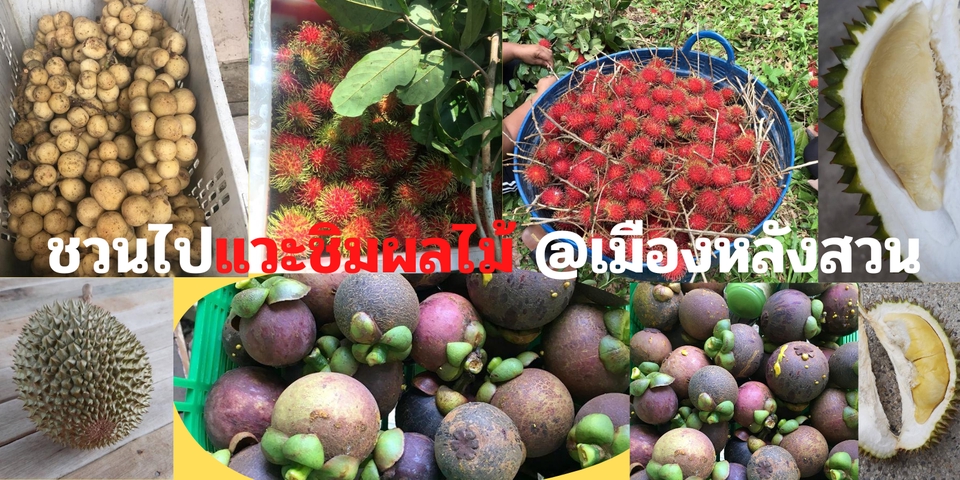 เขียนบทความ - เขียนบทความแนวสุขภาพ ความงาม ท่องเที่ยว รีวิวสินค้า - 3
