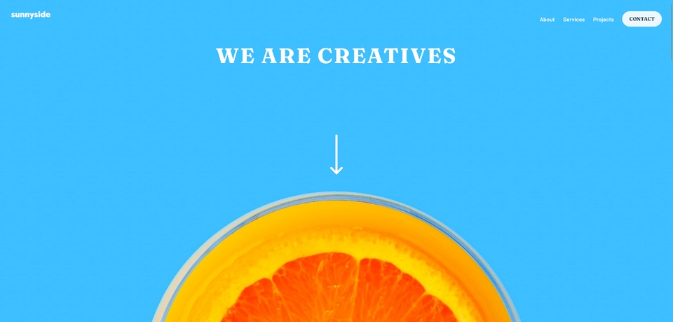 Web Development - Pembuatan Website / Company Profile / E-Commerce dengan Wordpress / Shopify - 4
