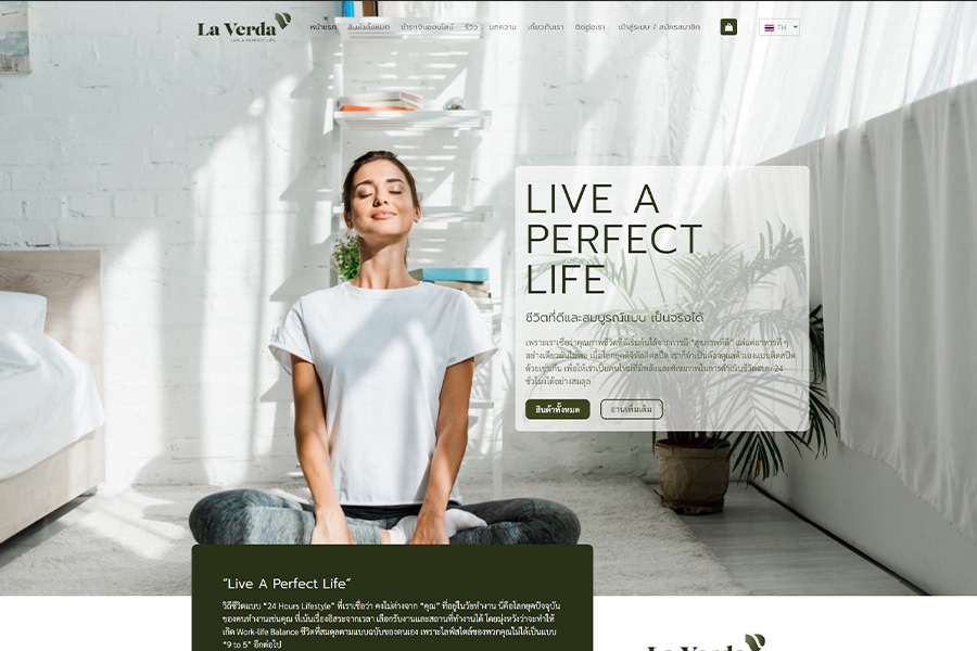 Wordpress - เว็บไซต์ร้านค้าออนไลน์ ด้วย Magento & WooCommerce - 9