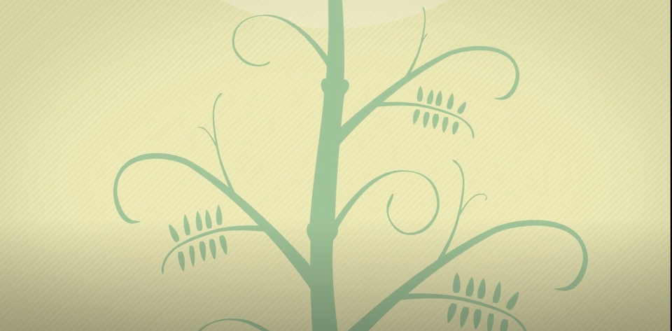 รับทำ 3d animation ราคาถูก ผลิตงาน 3d animation