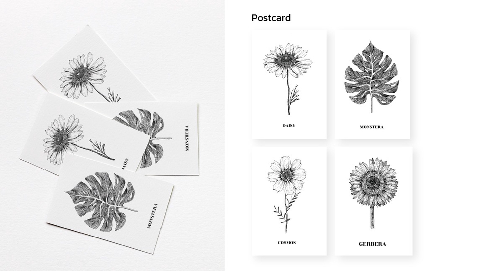 รับวาดรูป ดอกไม้ ใบไม้ สไตล์การ์ตูน ขาวดำ วาดภาพประกอบ digital painting