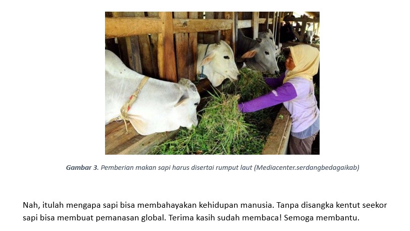 Penulisan Konten - Menulis konten menarik, kreatif, dan mudah dipahami - 7