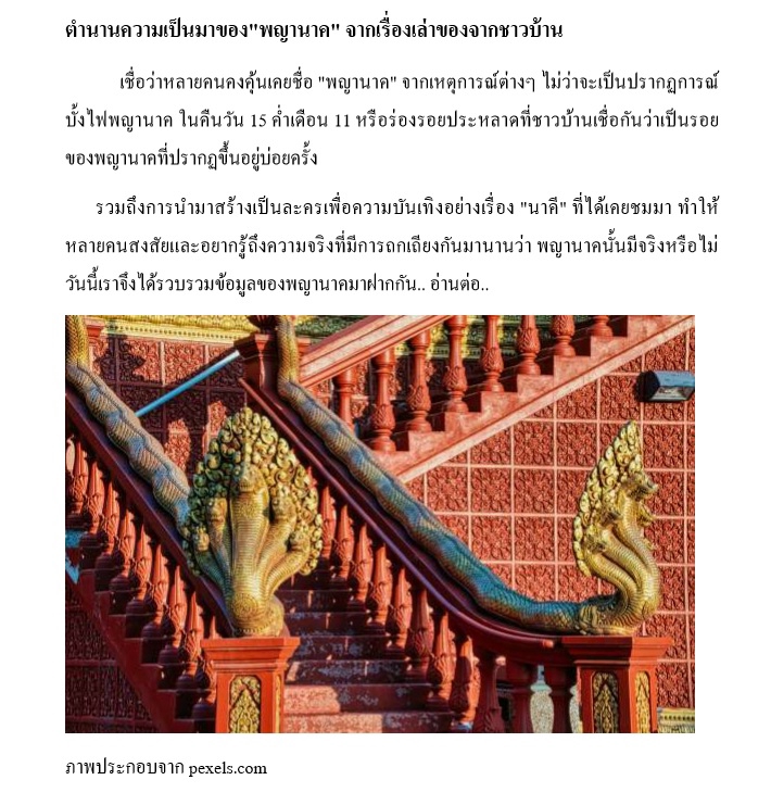 เขียนบทความ - รับเขียนบทความคุณภาพ ตามความต้องการของลูกค้า เพื่อใช้ในงานต่างๆ - 4