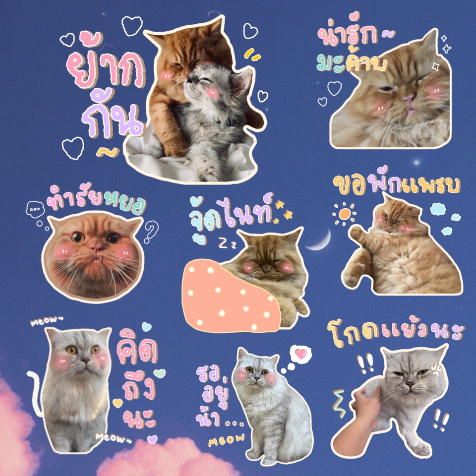 ออกแบบ LINE Sticker - สติกเกอร์ไลน์จากรูปภาพ - 20