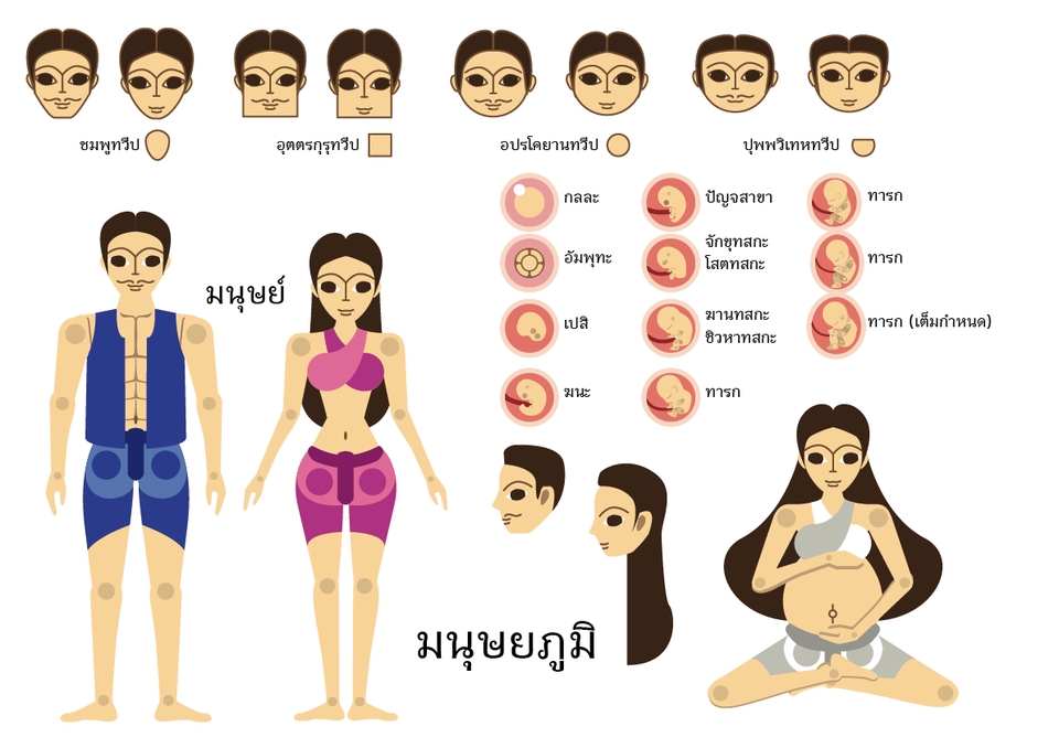 ภาพประกอบเวกเตอร์ - รับออกแบบภาพประกอบแบบ Vector - 8