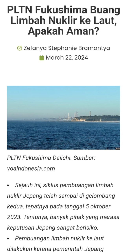 Penulisan Konten - Jasa Ketik Artikel Opini/Informatif - 3