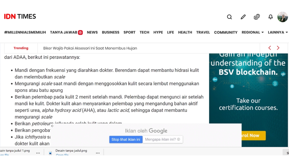 Penulisan Konten - Pengetikan Artikel Website/Blog Tema Bebas Sehari Bisa Jadi - 3