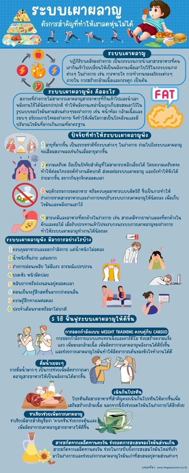 Infographics - รับทำ Infographic นำเสนอข้อมูล - 3