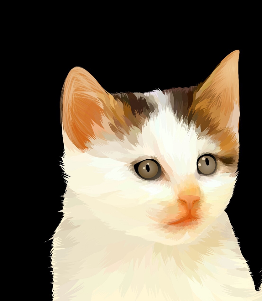 Gambar Potret - Jasa Membuat Vektor Pet Menarik - 10