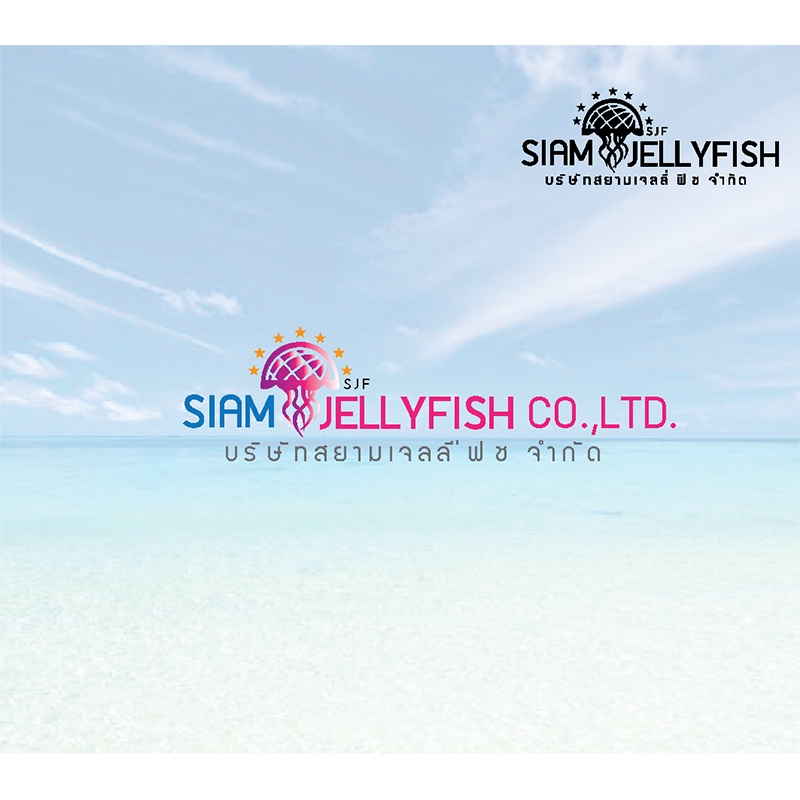 Logo - รับออกแบบโลโก้สติ๊กเกอร์ โลโก้แบรนด์สินค้า โลโก้บริษัท - 12