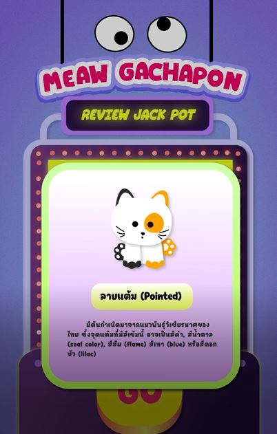 Motion Graphics - รับทำ Motion Graphic ,2D Animation สำหรับโฆษณา โปรโมท และแนะนำต่างๆ - 17
