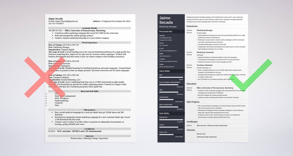 professional-resume-cv