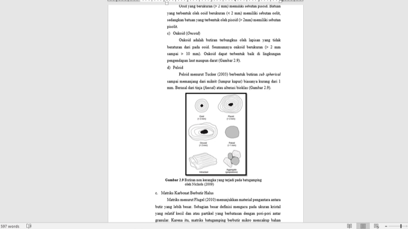 Pengetikan Umum - Mengetik Ulang Bahasa Indonesia & Inggris Cepat dari Ms.Word, PDF atau gambar - 2