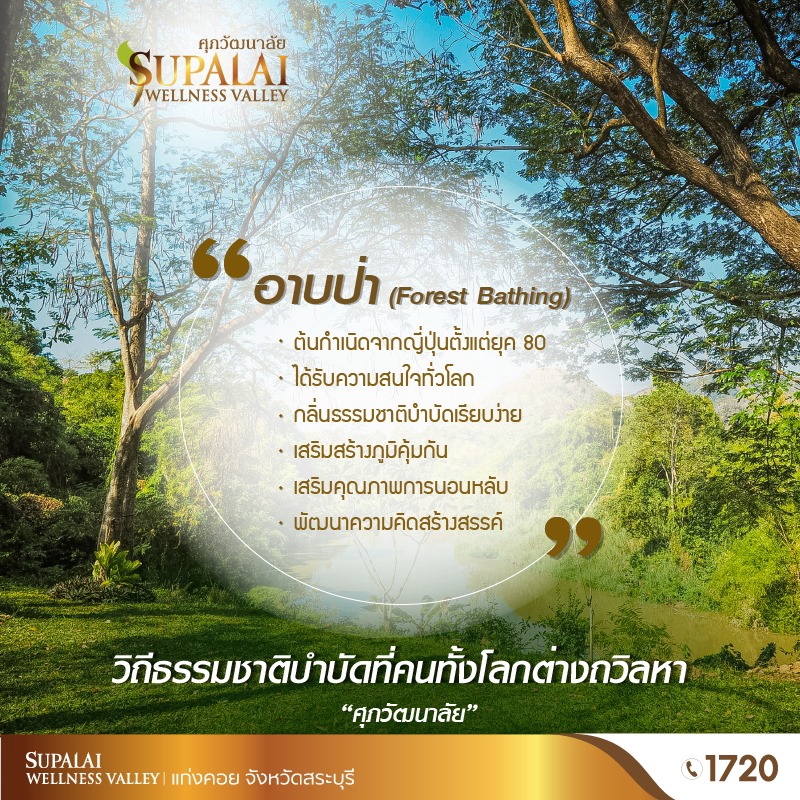 Banner โฆษณา - ออกแบบ Banner สินค้า แพลตฟอร์ม FB, IG, LINE หรือช่องทางออนไลน์อื่นๆ - 5