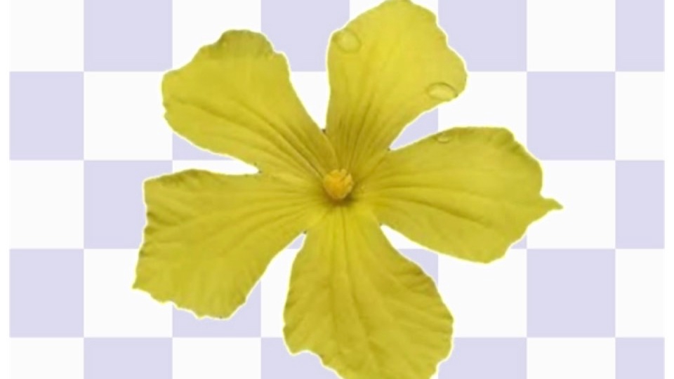 ไดคัท & Photoshop - รับไดคัทภาพ ตัดต่อ - 1