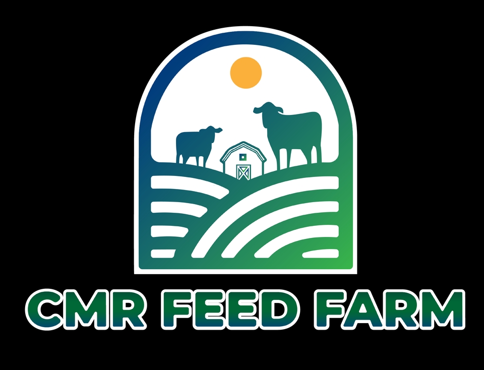 Jasa animasi motion graphic untuk iklan produk, video explainer dan konten digital. Harga motion graphic murah dan berkualitas.