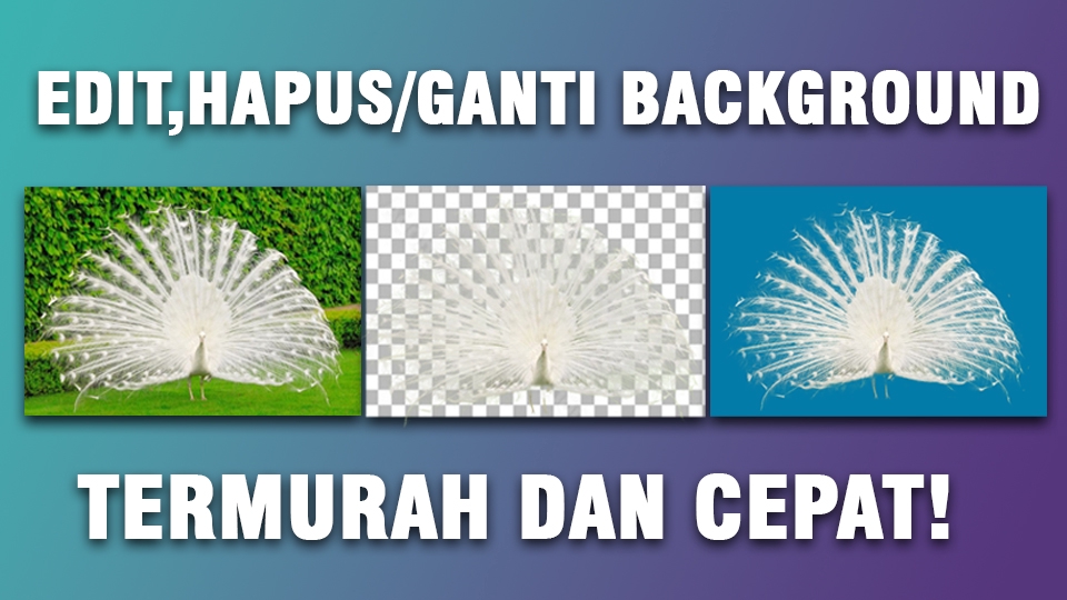 Edit Gambar & Photoshop - EDIT PHOTO,HAPUS BACKGROUND, GANTI WARNA BACKGROUND, DLL - 2