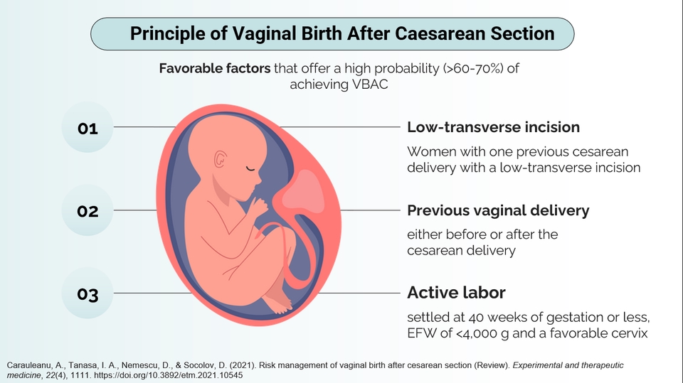 Jasa desain presentasi powerpoint prinsip persalinan vaginal setelah operasi caesar dengan penjelasan faktor-faktor pendukung dan ilustrasi bayi dalam kandungan