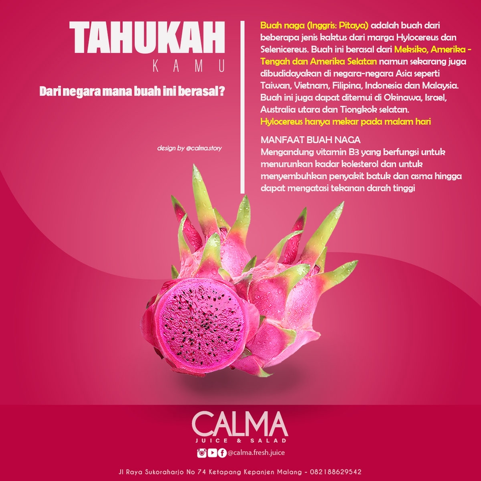Banner Online - Design Banner dan APA SAJA !! Revisi bebas (1 Hari jadi) - 6