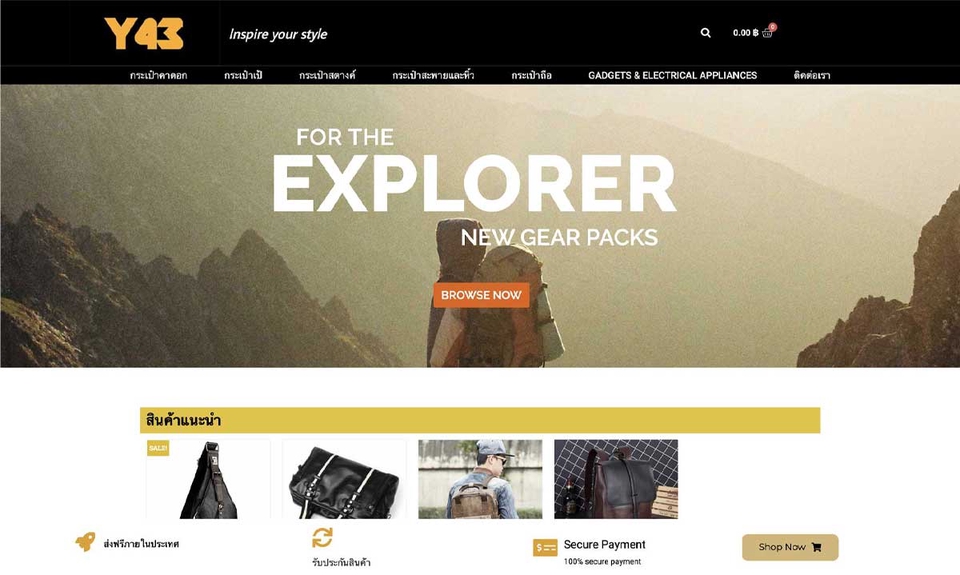Web Development - รับพัฒนาเว็บไซต์ร้านค้าทั่วไป เป็นระบบร้านออนไลน์ Ecommerce - 25