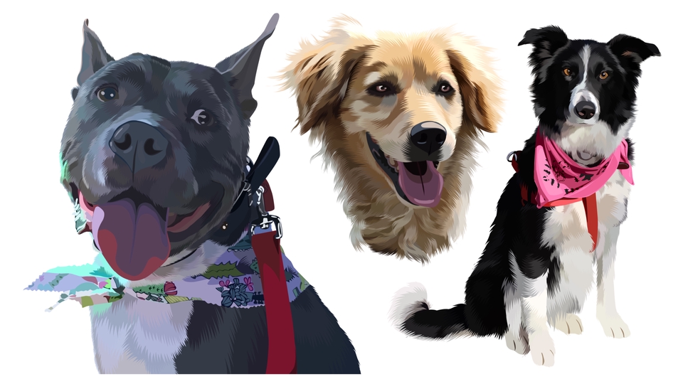 Ilustrasi hewan lucu, anjing berbulu coklat, anjing hitam putih, dan anjing hitam. Ilustrasi untuk keperluan desain karakter, desain sticker, atau konten media sosial.