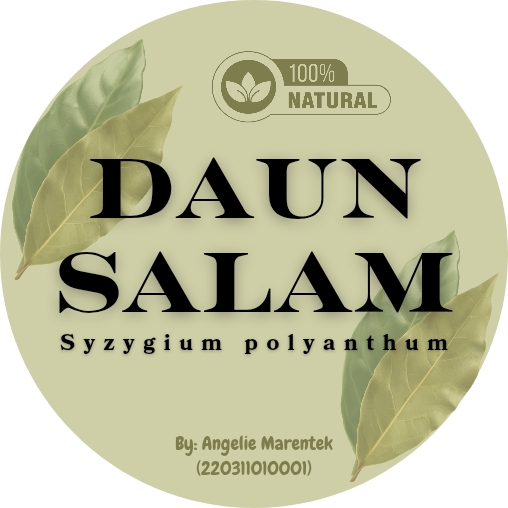 Jasa desain kemasan daun salam, desain kemasan produk makanan, desain label makanan, desain stiker produk