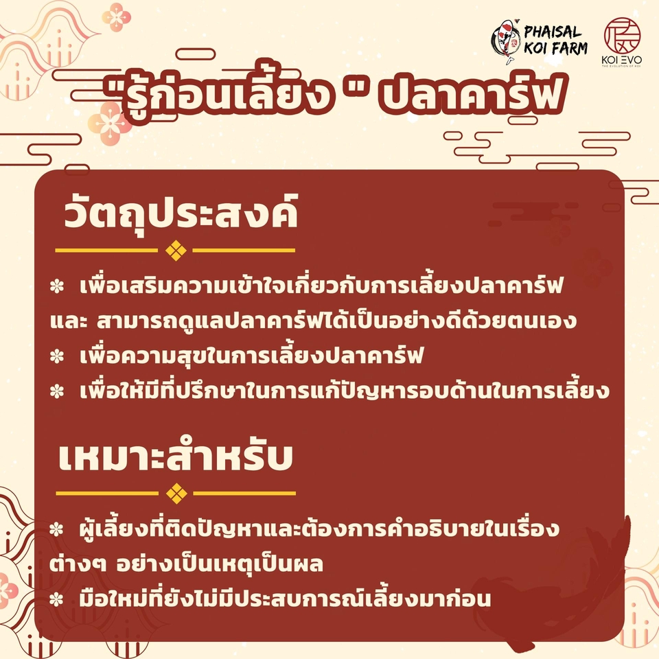 Banner โฆษณา - ออกแบบ Banner / Content Online/ ภาพโฆษณา ทางโซเชียล - 9