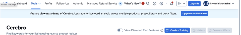 รับทำ seo รับจ้างทำ seo บริการ seo ราคาถูก SEO Audit