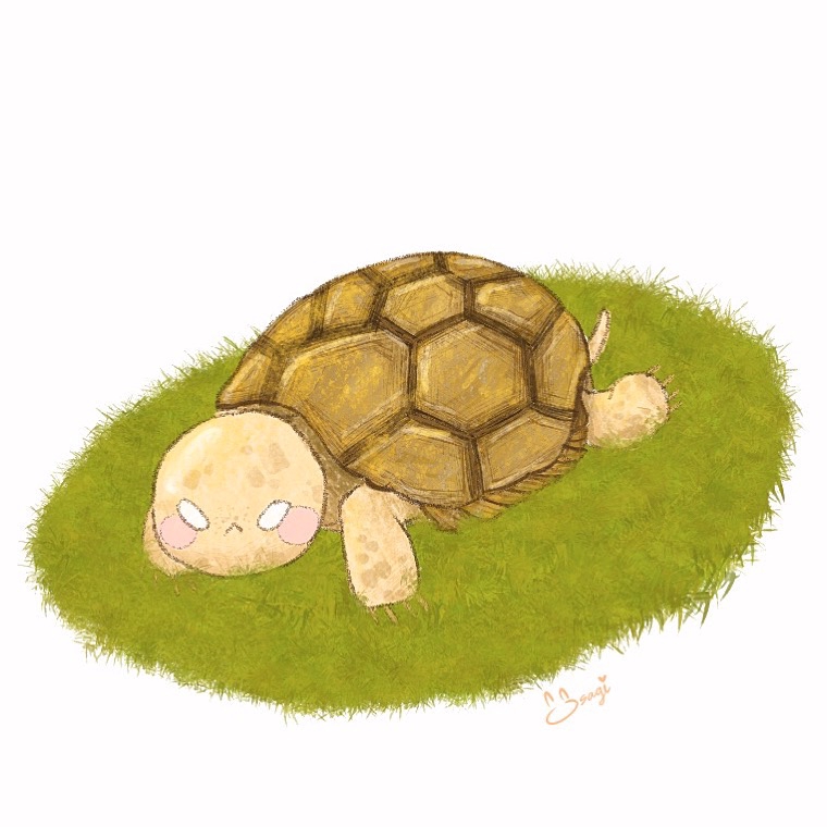 วาดภาพการ์ตูน - Cute animal drawings - 6