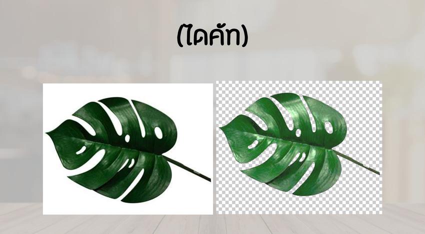 ไดคัท & Photoshop - รับไดคัท รีทัช แต่งภาพ ทุกประเภท - 2