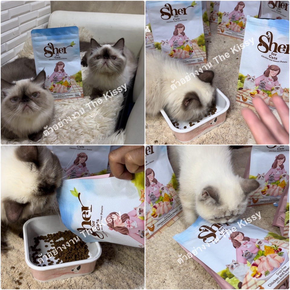 รับรีวิวสินค้า รับจ้างรีวิวสินค้า หาคนรีวิวสินค้า รับรีวิวอาหาร รับรีวิวของเล่น บล็อกเกอร์รีวิวสินค้า