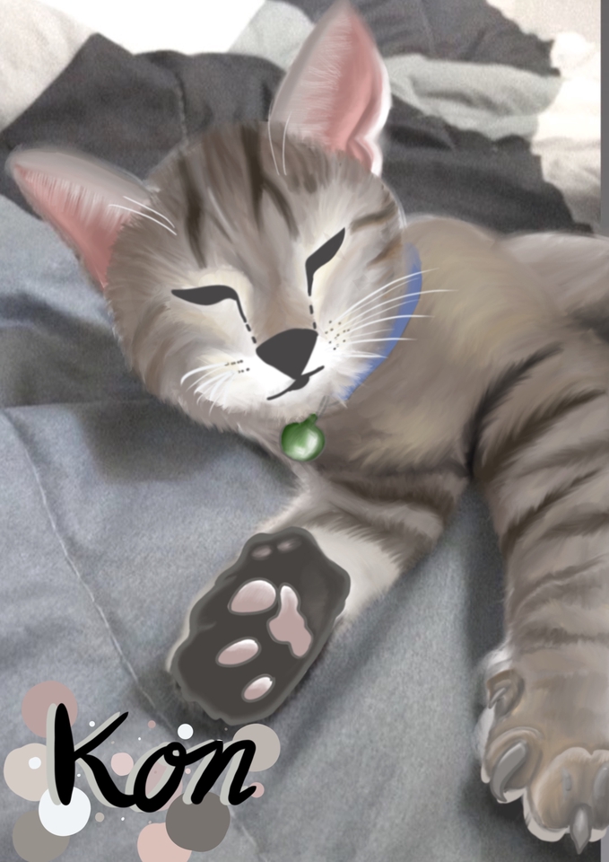Portrait Illustration - Portrait digital painting ( human / animal / thing ) - 3