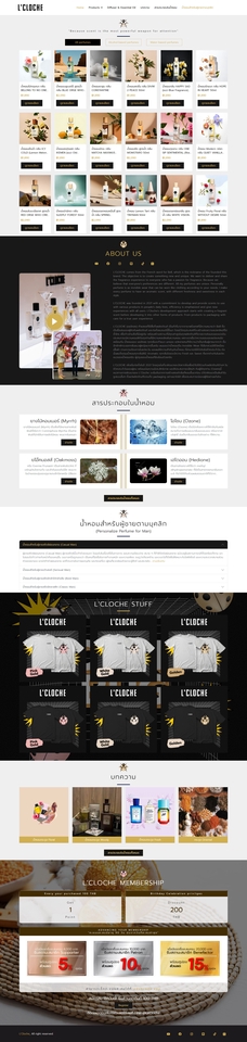 รับทำเว็บไซต์ wordpress ราคาถูก รับทำเว็บ wordpress