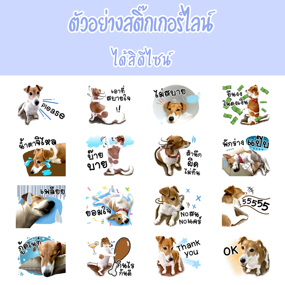 สติ๊กเกอร์ไลน์รูปตัวเอง รูปลูก รูปสัตว์เลี้ยงแสนรัก สติ๊กเกอร์ไลน์รูปตัวเอง รูปลูก รูปสัตว์เลี้ยงแสนรัก