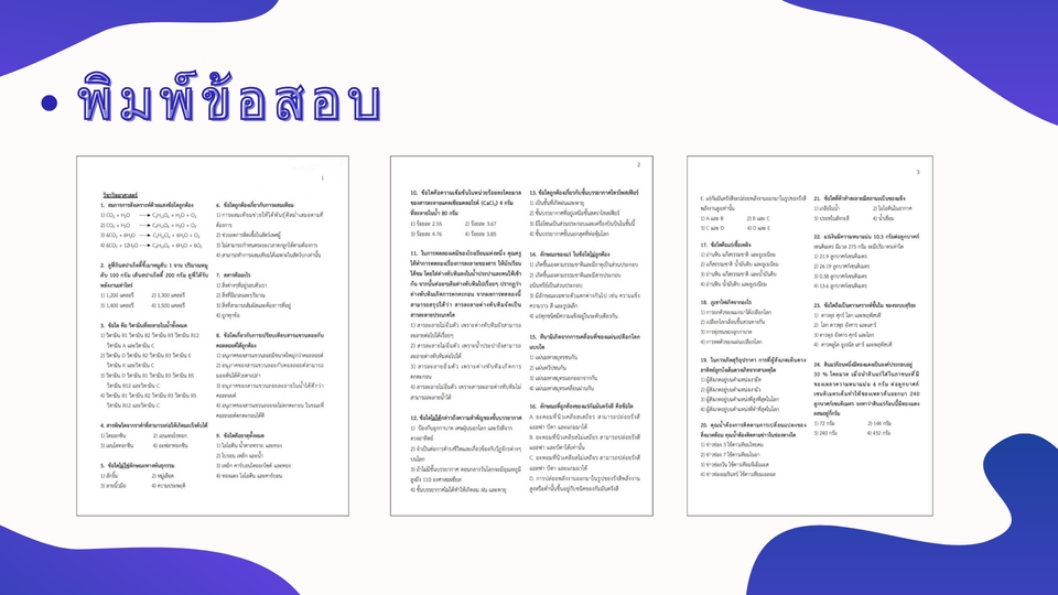 พิมพ์งาน และคีย์ข้อมูล - รับพิมพ์งาน ภาษาไทย-อังกฤษ - 6