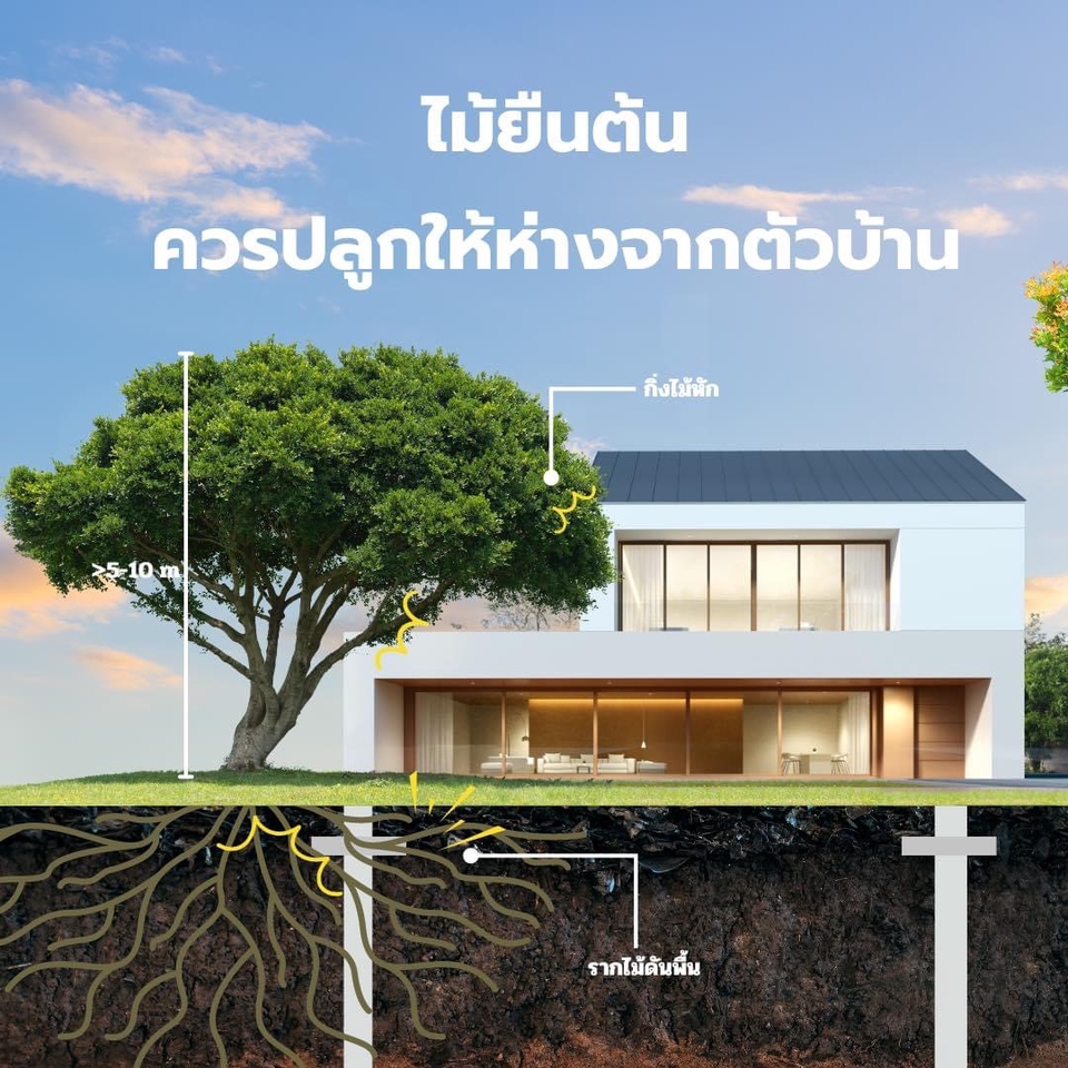 Banner โฆษณา - ออกแบบภาพโฆษณา หรือภาพให้ความรู้ต่างๆ - 5