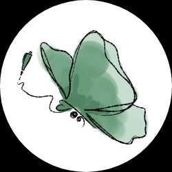 qlifiart