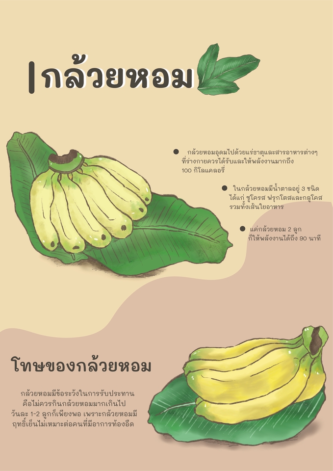 Infographics - งานออกแบบ INFOGRAPHIC - 2