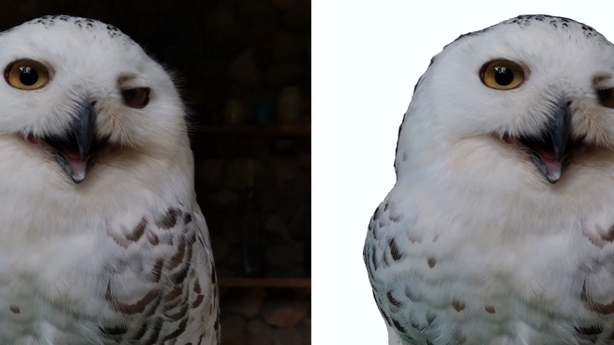 ไดคัท & Photoshop - รีทัชหน้าเนียน รีทัชพื้นหลังขาวหรือเเล้วแต่ทางลูกค้าต้องการ รีทัชเปลี่ยนเสื้อผ้า เเละแต่งภาพ - 4
