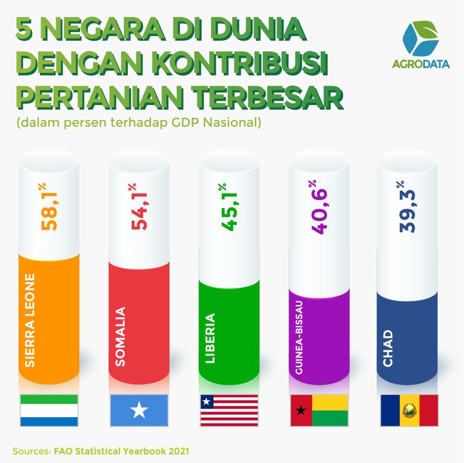 Infografis - Data Bercerita! Desain infografis +bonus copywriting - 3
