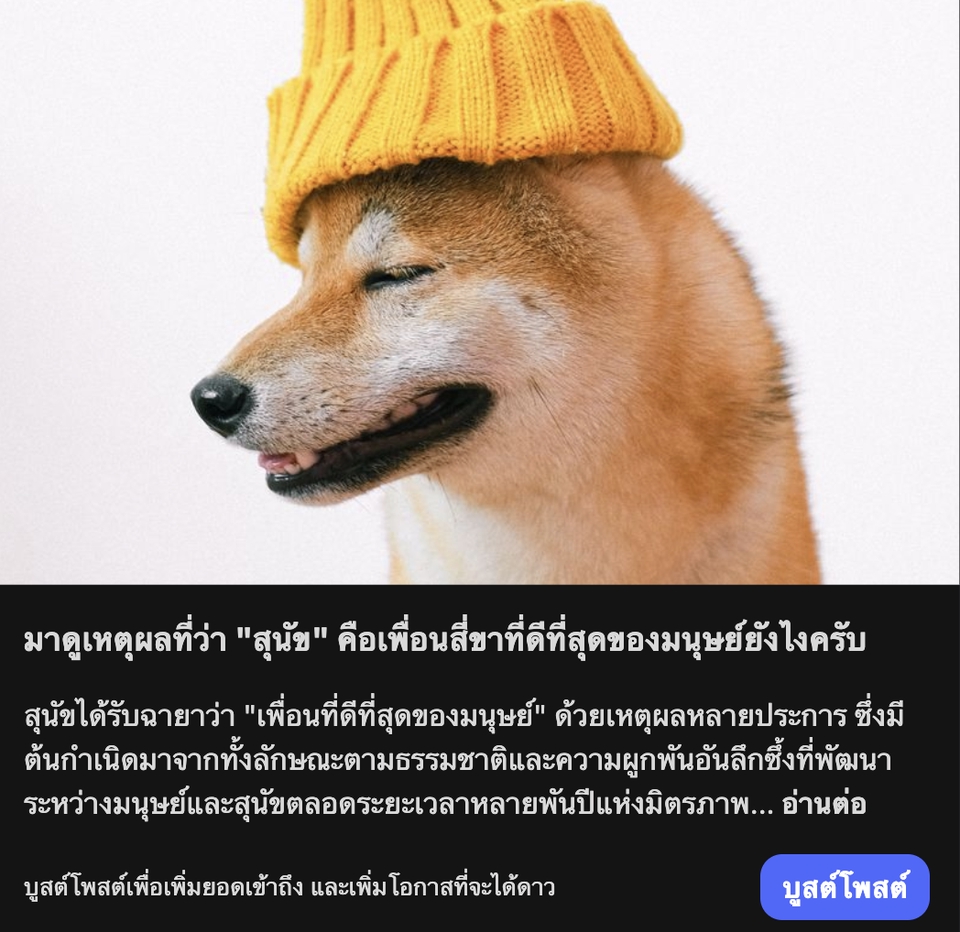 เขียนบทความ - รับเขียนบทความ การเงิน, สุขภาพ, อนาคต อ่านง่าย ทัชใจคนอ่าน! - 4
