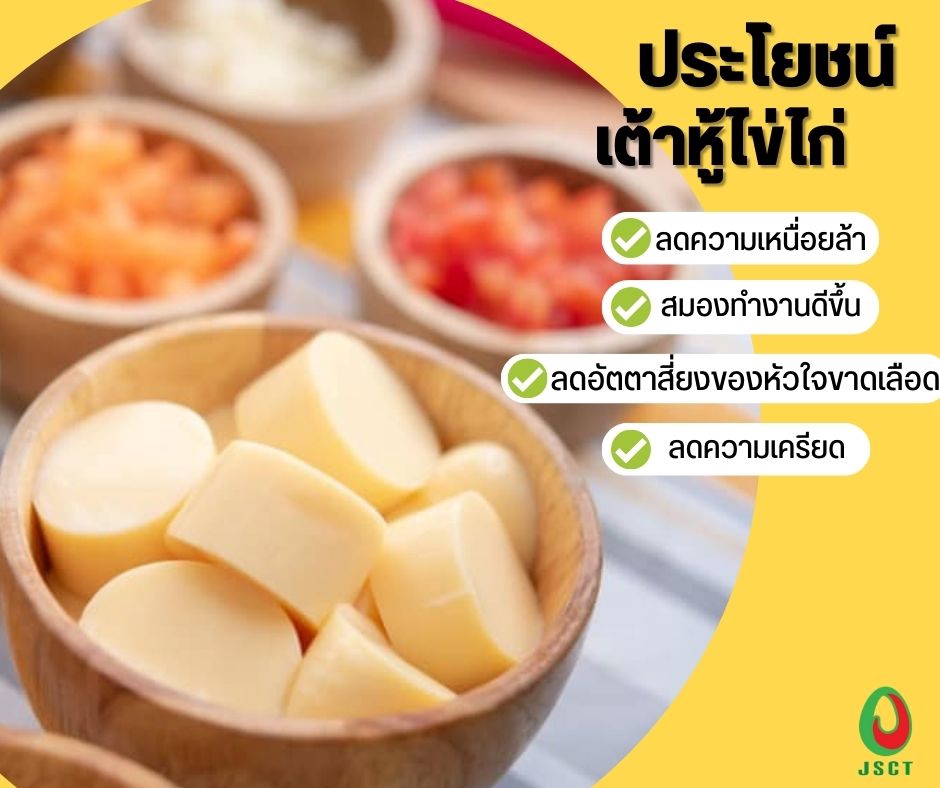 Infographics - รับออกแบบ infographics ลงสื่อโซเชี่ยล - 3