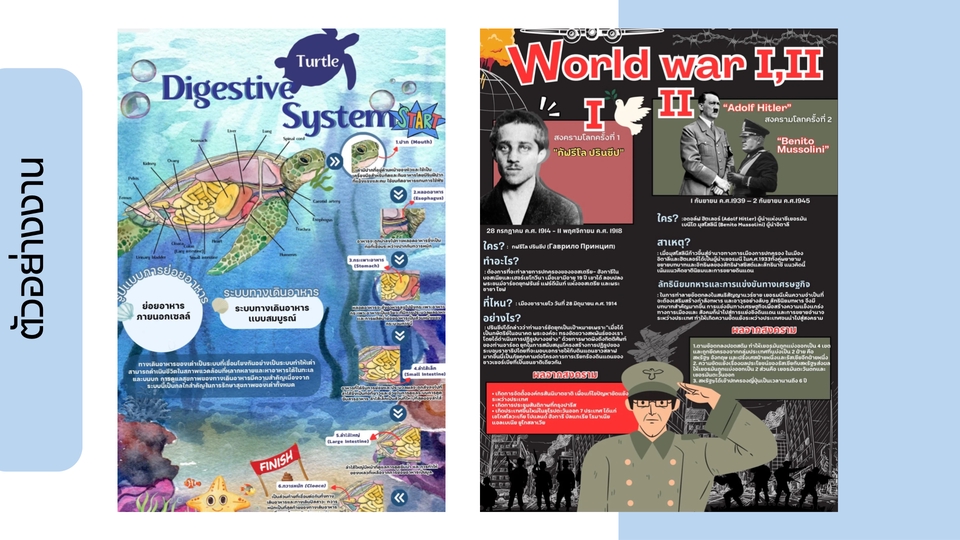 Infographics - รับออกเเบบPoster/Infographic - 3