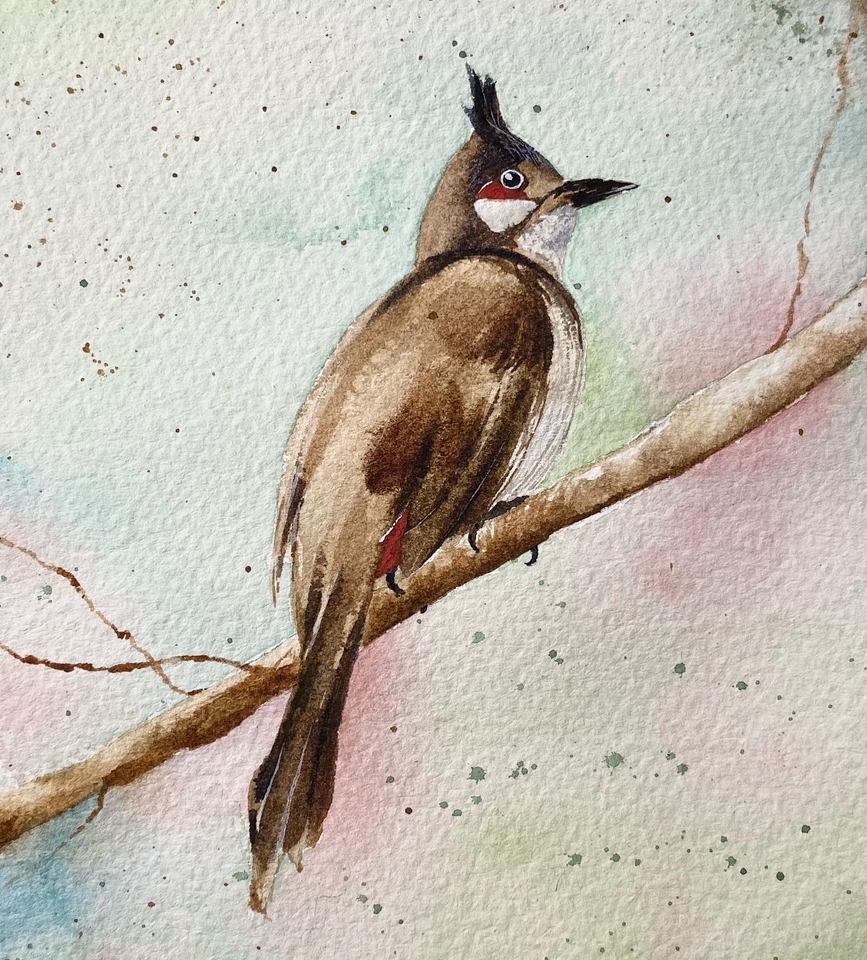 รับวาดภาพนก watercolor สไตล์สวยงาม เหมาะสำหรับตกแต่งบ้าน 